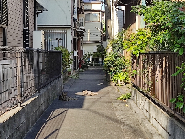 再建築不可物件とは？売却方法や買取の査定ポイントをご紹介